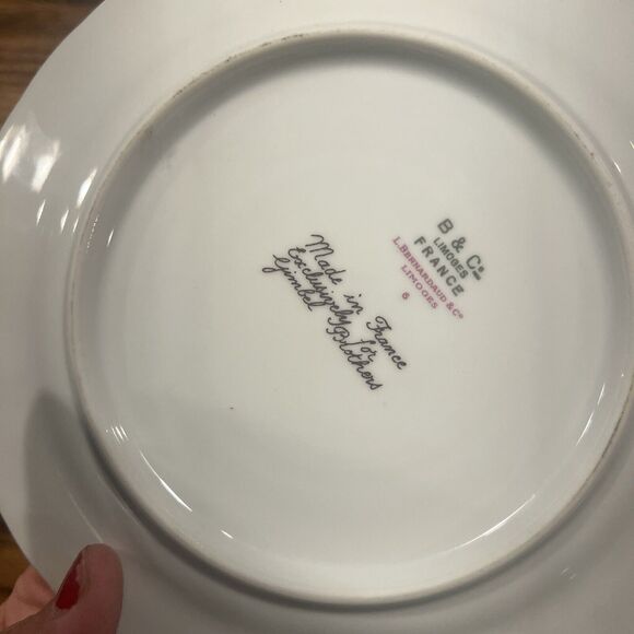 9 NINE Limoges France Bernardaud 7 3/8" salad plates BER57 Floral Garland MINT - Picture 10 of 10